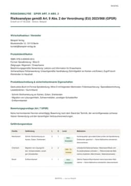 Erste Seite der Beispiel-Risikoanalyse